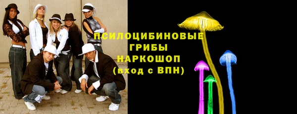 ГАЛЛЮЦИНОГЕННЫЕ ГРИБЫ Мегион
