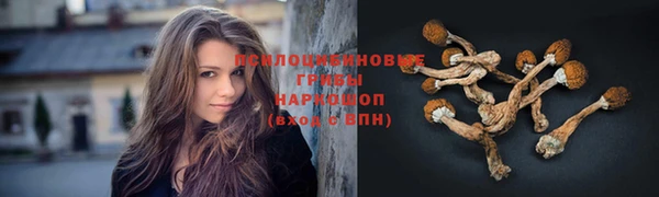 дурь Михайлов