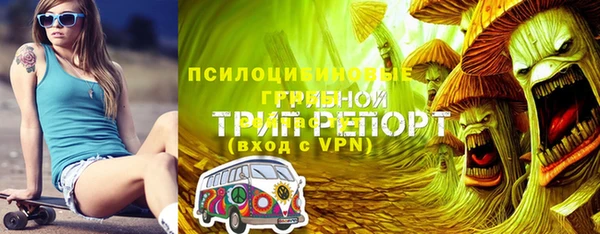 ГАЛЛЮЦИНОГЕННЫЕ ГРИБЫ Мегион