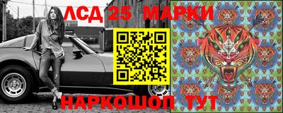 гидропоника Жуковский