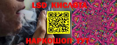 шишки Заводоуковск