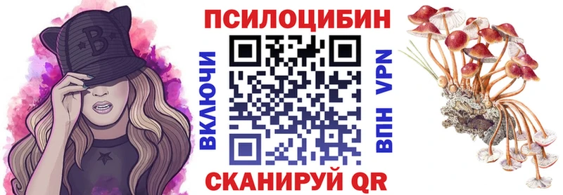Псилоцибиновые грибы мицелий  Северодвинск 